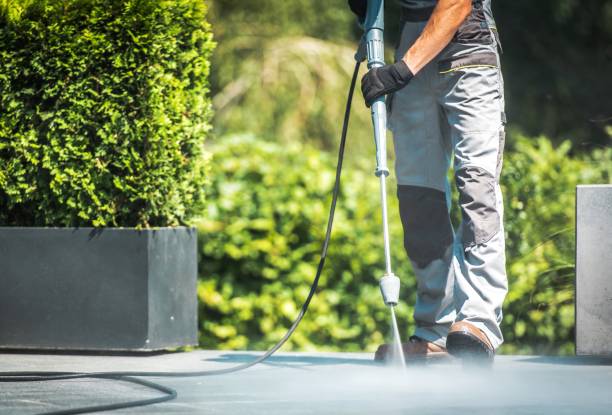 Best Oil Spill Cleanup  in Carrollwood, FL
