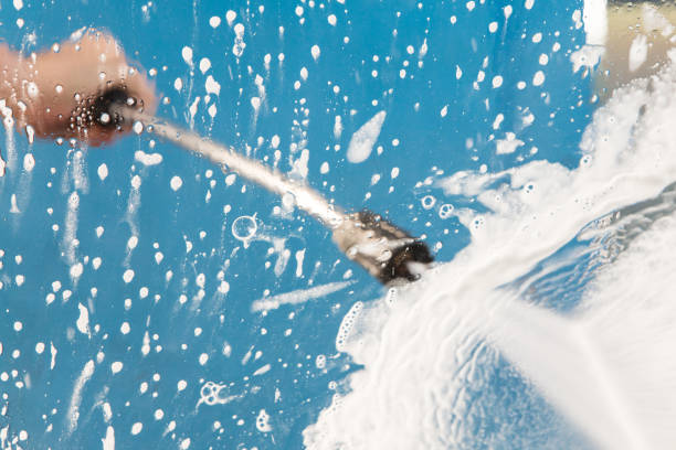 Best Paint Preparation  in Carrollwood, FL