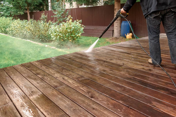 Best Gutter Cleaning  in Carrollwood, FL