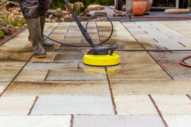 Best Dumpster Area Cleaning  in Carrollwood, FL