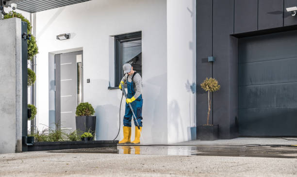 Professional Pressure Washing in Carrollwood, FL